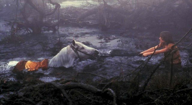 Person pulling horse from swampy water.